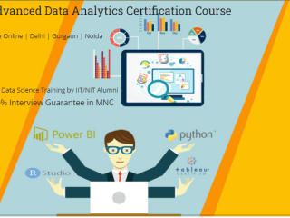 data-analytics-training-course-in-delhi110054-by-big-4-best-online-data-analyst-by-google-100-job-with-mnc-sla-consultants-india