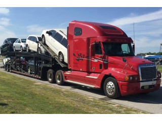 CAR AUTO TRANSPORT SHIPPING